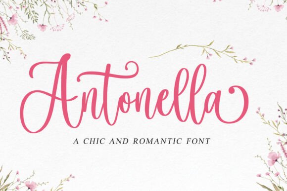 Antonella: The Script Font That Makes Handmade Designs Feel Special